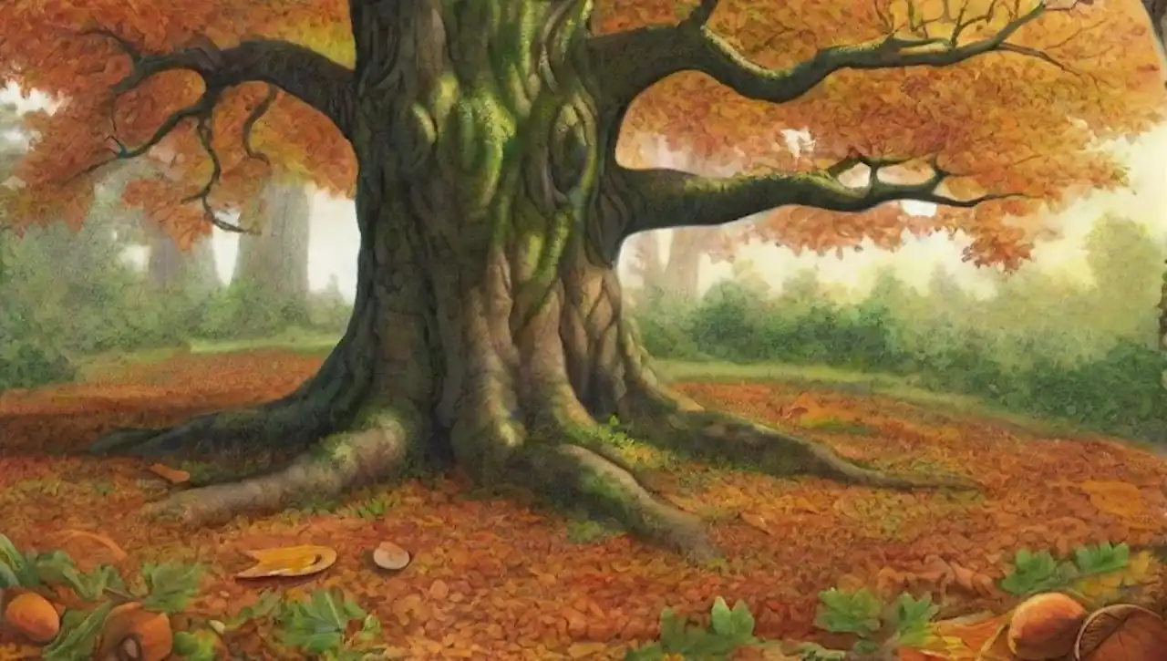 Un hermoso roble en un bosque sereno, con hojas verdes y colores de otoño.