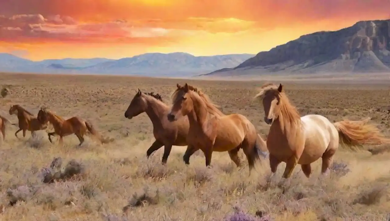 Mustangs corren libres en un desierto al atardecer, rodeados de montañas y naturaleza salvaje.