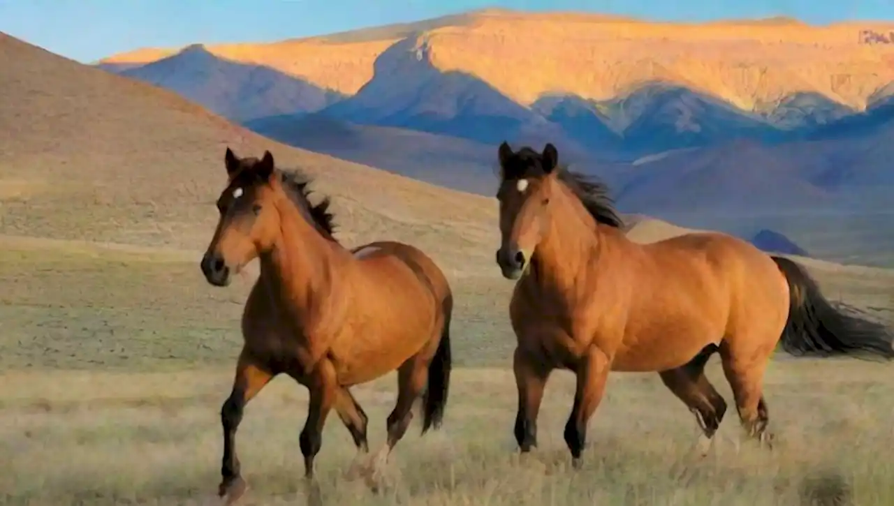 Caballos mustang corren libres en paisajes naturales de belleza salvaje y serena.