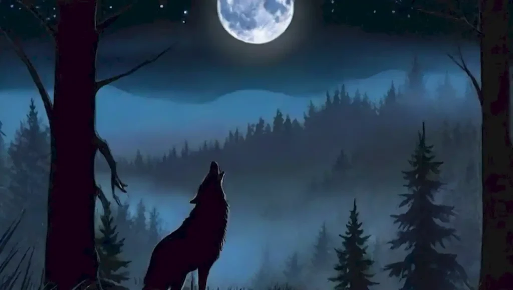 Lobo solitario aúlla bajo la luna en un bosque neblinoso