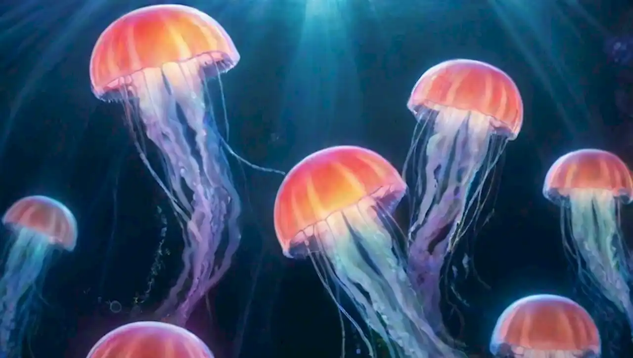 Medusas coloridas flotan en un paisaje submarino onírico y etéreo.