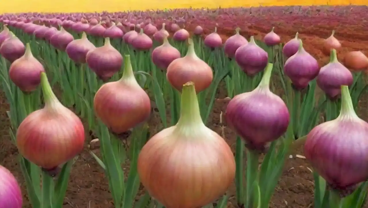 Un mundo surrealista de cebollas y utensilios de cocina imaginativos.