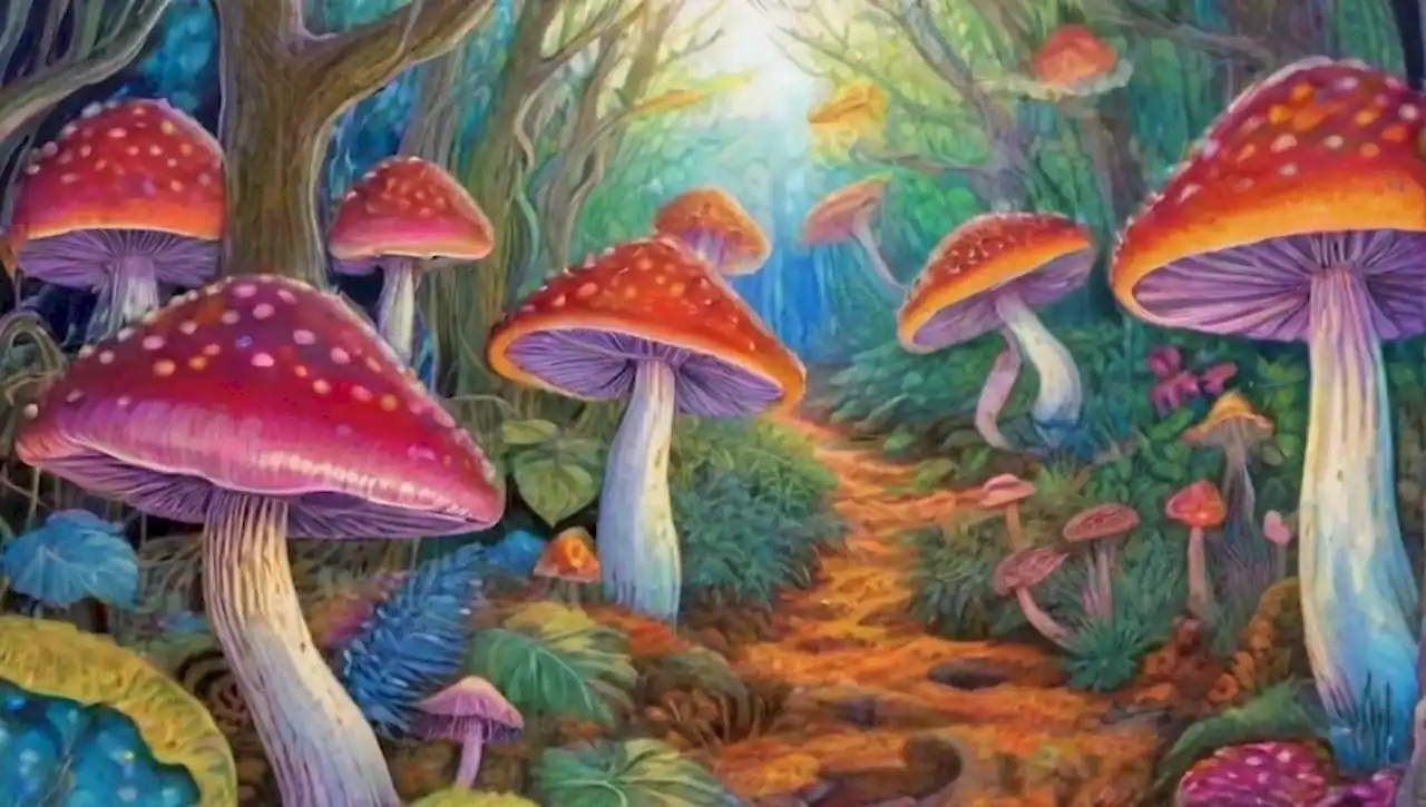 Un mundo surrealista lleno de criaturas coloridas y paisajes fantásticos.